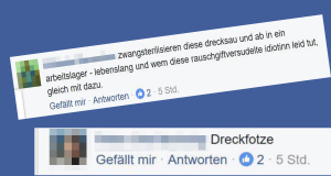 Screenshot von Hasspostings gegen Stefanie Sprengnagel