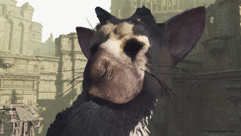 Screenshot The Last Guardian VR Demo