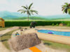 RC Rush